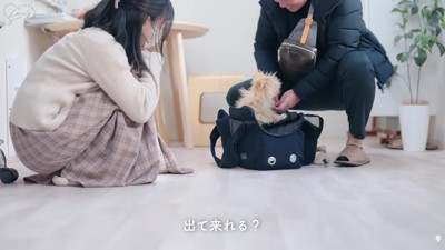 生後4ヶ月の子犬が来店