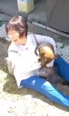 まるで子犬のように大興奮！