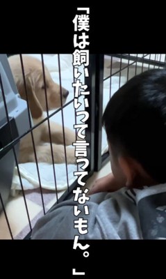 僕は飼いたいって言ってない