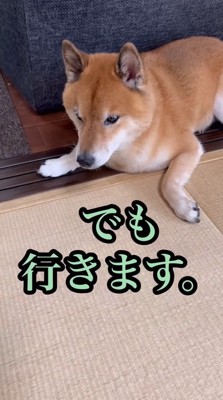 強引に連れ出します！