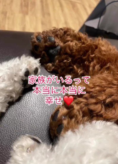 家族っていいね