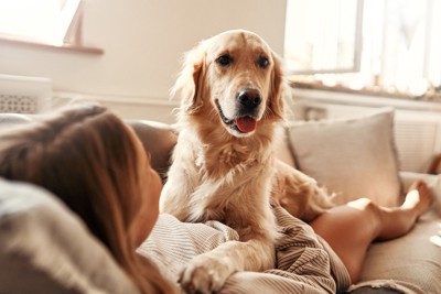 女性の体の上で寝そべる犬