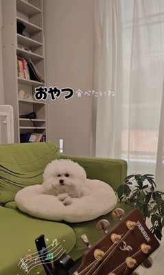 弾き語りを聴くメロンさん2