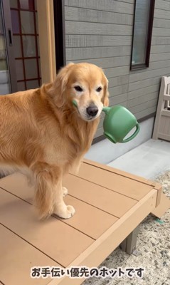 お手伝いをするホット君⑩