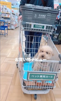 すいーぶ君の成長と変化8