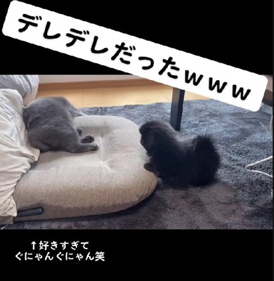 グデングデンに溶けてしまうほど