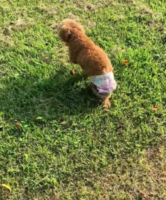 二度と歩けないかも…