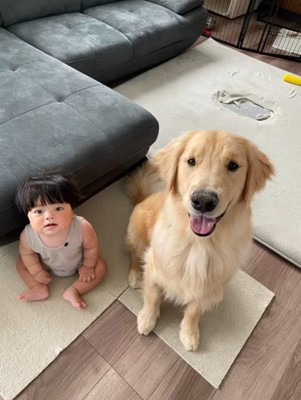 赤ちゃんに優しいぱん君⑩