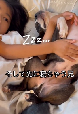 寝てしまったたま君