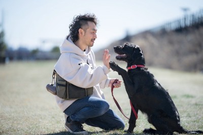 ハイタッチをして見つめ合う犬と男性