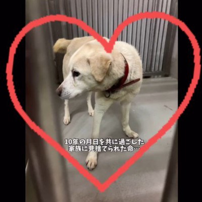 三郎くんが幸せを掴むまで3