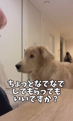 ご飯を食べ終わると報告にくる麹くん9