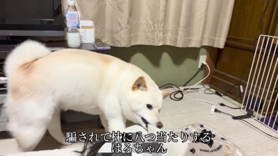 「心配したじゃない!」