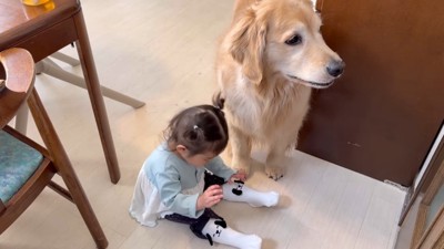 わんわんの靴下を履いて…