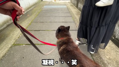 再び警戒モードに!