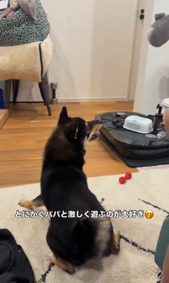 ラムくんの変化6