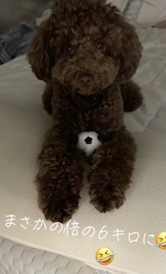 家族からの愛情は変わりません