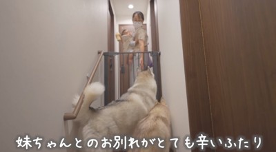 ゲートの向こうへ入る女性と赤ちゃん