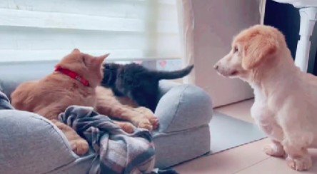 本当の兄弟のよう