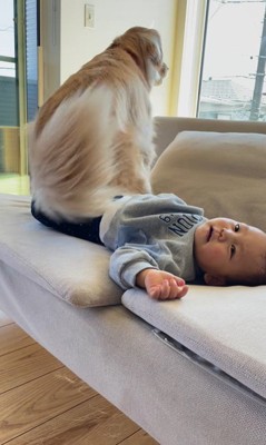 mellowくんに足を踏まれた男の子2