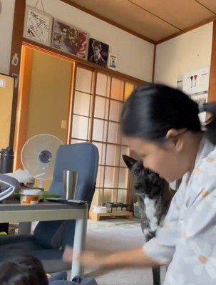 見つめる犬1