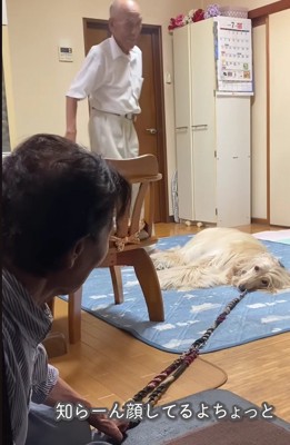 「ばあばんち泊まる！」