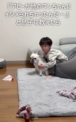 散歩を終えたアビーちゃん