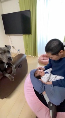 赤ちゃんを抱く男性のそばでくつろぐ犬