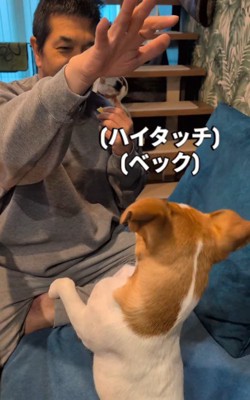 「ハイタッチ」はできたけど…