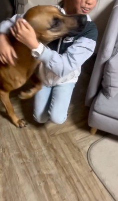 女の子に体をすり寄せる茶色い犬