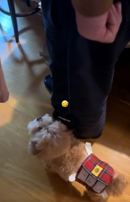 並んで歩くふたり