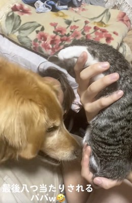 入念な匂いチェック中。