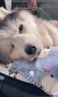 首を上げられない