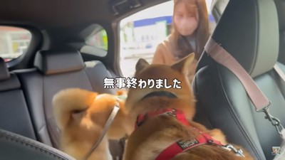 ママを出迎える2匹