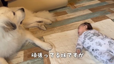 なかなか届かない…