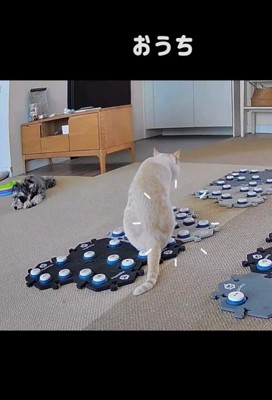 フーフーくんを気遣うモネちゃん2