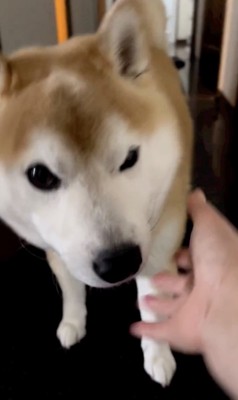 思いやりいっぱい