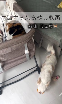 赤ちゃんが泣いた時のニコちゃん3