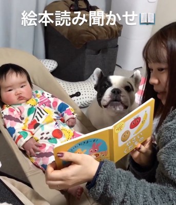 吠える犬