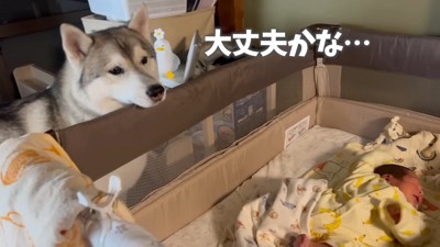 「静かに静かに…」