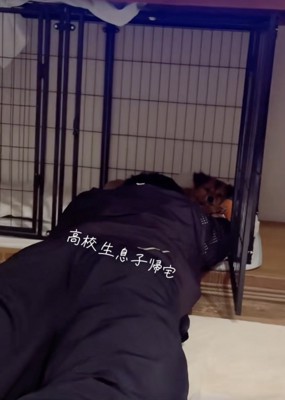 体ごと突っ込んでます