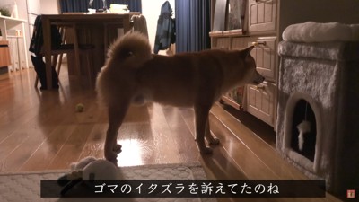 これを報告したかったのね…！