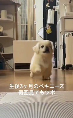 お鼻に当たるムニくん