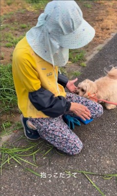 お隣のおばちゃんを発見したちゃちゃ君4