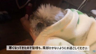 幸せそう♡