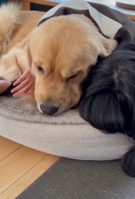 困っている姿も可愛い！