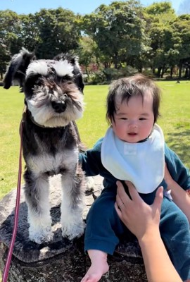 姿勢が良いゆずくん