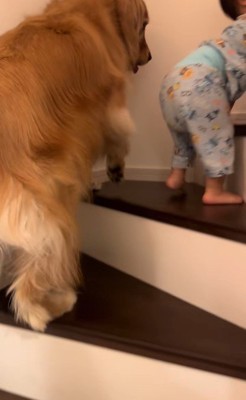 階段を登る男の子とラビーくん3