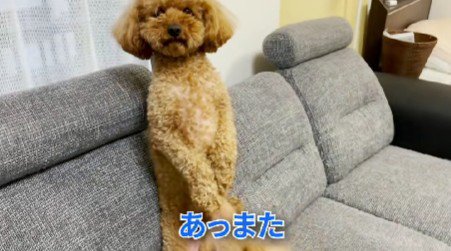 手を出してあやすと…