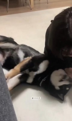 「こうなったら力技だ！」